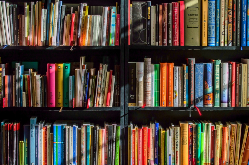 ecommerce-GREOLIERES-min_books_bookstore_book_reading_shop_writer_sale_books_read-822866